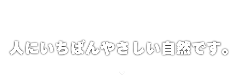 ガーデニング 人にいちばんやさしい自然です。