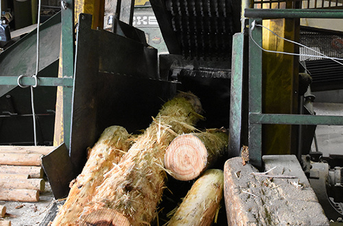 チップ状にカットする様子