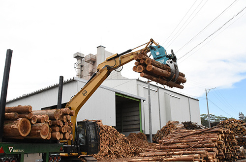 ▲原木(針葉樹)の入荷